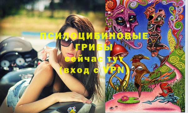 Альфа ПВП Арсеньев